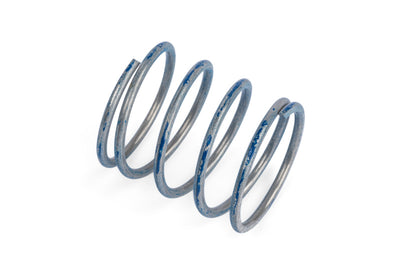 APR 76-83 Porsche 911 R1 DV Higher Pressure Spring - Blue
