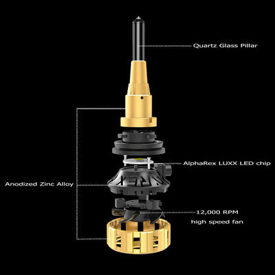 arx110008