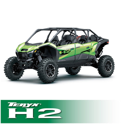rgdH2-696-RS-M1-HK