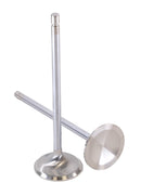 GSC P-D Toyota G16E-GTS 32.8mm Head (STD) 113.7mm Long Chrome Polished Intake Valve - Single