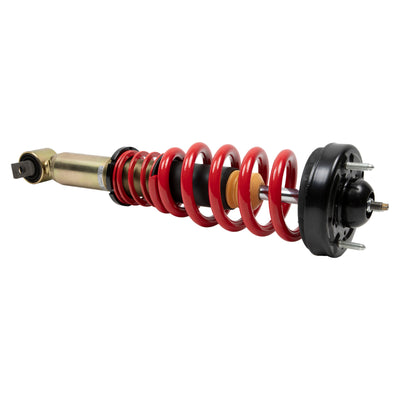 BT Coilover Kit w Shocks