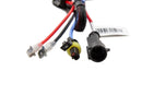 Diode Dynamics HID Bulb D2H 8000K (Pair)