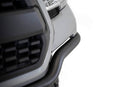 Photo - Close Up
