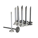 Skunk2 Honda K20C1 Alpha Series Intake & Exhaust Valve Set (Standard Compression)