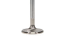 Manley Volkswagen 1.2L Type I Intake Valve Kit - 42.00mm Head Dia. 4.405in O/A Length, 0.3130in Stem