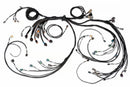 Haltech Nexus R5 VCU + LSx DBW Terminated Harness Kit