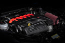 APR 17-20 Audi RS3 2.5T Gen 2 Carbon Fiber Intake Filter System