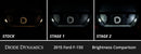 Diode Dynamics 15-20 d F-150 Interior LED Kit Cool White Stage 2