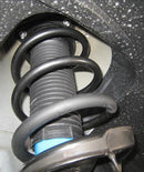 Eibach Pro-Kit for 13 Ford Focus ST