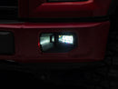 Raxiom 15-20 Ford F-150 Dual Function LED Fog Lights- White/Yellow