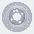 R1 02-15 Mini Cooper Rear Drilled & Slotted Silver Brake Rotor Set