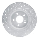 R1 03-16 Mercedes-Benz E250 Rear Drilled & Slotted Silver Brake Rotor Set