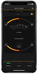 ICON 2014+ Ram 2500 4.5in Front 2.5 VS RR CDEV Pair