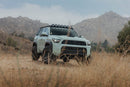 DV8 25-26 Toyota 4Runner Exterior Window Molles (Use w/ PN dveRRTF3-02) - Driver & Passenger