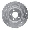 R1 03-16 Mercedes-Benz E250 Rear Drilled & Slotted Silver Brake Rotor Set