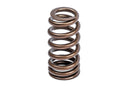 APR 12-16 Porsche Panamera Valve Spring - Single