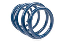 Dinan 18-25 BMW X4 M40i Coil Spring Set