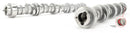 COMP Cams Stage 1 Hydraulic Roller Camshaft for Chevy Gen V LT1 6.2L