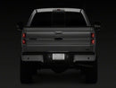 Raxiom 01-14 Ford F-150 Axial Series LED License Plate Light Bulb