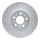 R1 17-24 Tesla 3 Front Drilled & Slotted Silver Brake Rotor Set