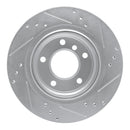 R1 03-08 BMW Z4 Rear Drilled & Slotted Silver Brake Rotor Set