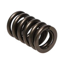 Manley Valve Spring, SPRING-1.250 SINGLE