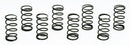 Moroso Valve Checking Springs