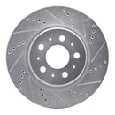 R1 17-24 Tesla 3 Front Drilled & Slotted Silver Brake Rotor Set