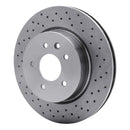 DFC 00-06 Jaguar XKR Rear Drilled Brake Rotor