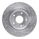 R1 17-20 Honda Civic Rear Drilled & Slotted Silver Brake Rotor Set