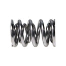 Manley Valve Spring, SPRING-1.620 DOUBLE