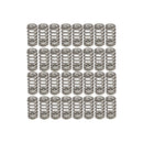 COMP Cams 2018+ Ford Coyote Valve Springs 1.765in Beehive