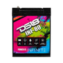 DS18 2300 Watts 80 AH Infinite AGM Power Cell Battery