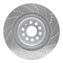 R1 12-21 Tesla X Rear Drilled & Slotted Silver Brake Rotor Set