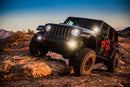 JKS Jeep JL J-Kontrol 2.5in 4Dr w/Fox 2.0 Performance Series Shocks STD Rate Coils