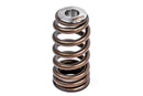 APR 12-16 Porsche Panamera Valve Spring - Single