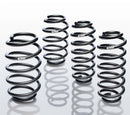 Eibach Pro-Kit for 13 Ford Focus ST