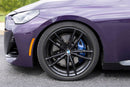 Dinan 22-26 BMW M240i xDrive Coil Spring Set