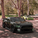 Photo - lifestyle view