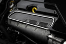APR 17-20 Audi RS3 2.5T Carbon Fiber Intake Manifold Cover Plate