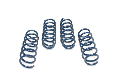 Dinan 17-23 BMW 540i Coil Spring Set