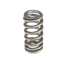 Comp Cams Valve Spring, .600 Lift
