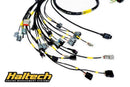 rywRY-K2-HALTECH-ELITE-EG-2B