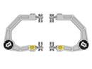 ICO 2.5 Series Coilover Kits