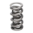 Manley Valve Spring, SPRING-1.500 DOUBLE