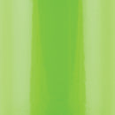 Wehrli 17-19 Duramax L5P OEM Location Coolant Tank - Kiwi Green