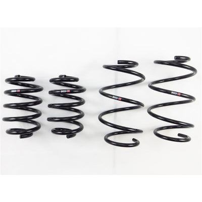 RS-R 09+ Nissan GT-R TI2000 Down Sus Springs