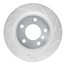 R1 08-13 BMW 125i Rear Drilled & Slotted Silver Brake Rotor Set