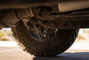 Addictive Desert Designs 21-25 RAM 1500 TRX/RHO Rear Shock Guards