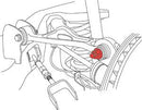 SPC Performance Ford 10+ Taurus / 01+ Explorer Rear Camber Kit